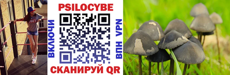 купить  цена  Зеленоградск  Псилоцибиновые грибы MAGIC MUSHROOMS 